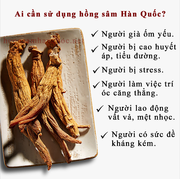 Những ai cần sử dụng sản phẩm từ Hồng sâm Hàn Quốc