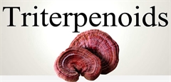 Tác dụng kinh ngạc của hợp chất Triterpenoid trong nấm linh chi